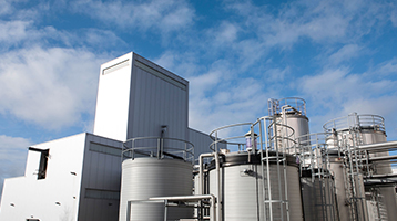 Biofuels sustainability